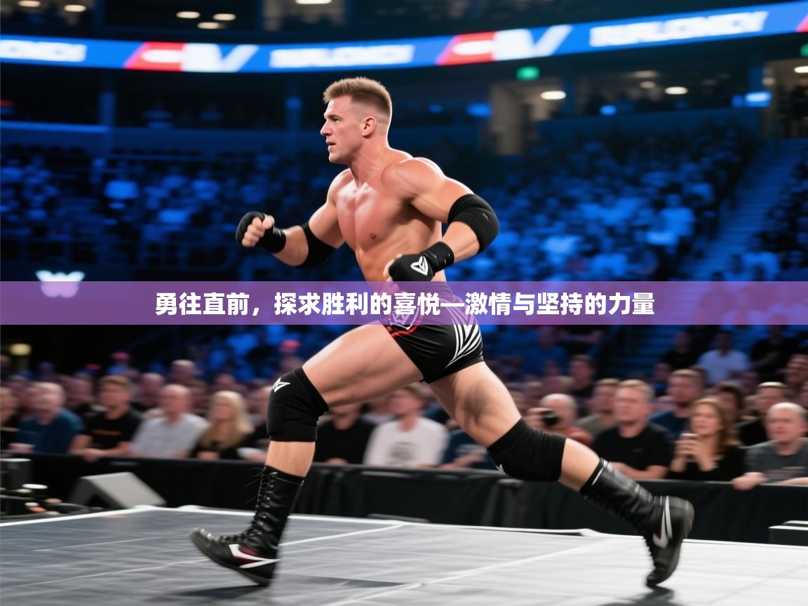 勇往直前，探求胜利的喜悦—激情与坚持的力量  第1张